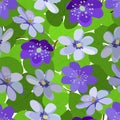 Seamless pattern of blue hepatica and green leaves