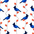 Seamless pattern with blue jay and garland with lights. Ornament for textile and wrapping. Vector Royalty Free Stock Photo