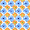 Seamless pattern blue and orange gerbera flowers, white background, summer daisy floral ornament, abstract gerber flower texture Royalty Free Stock Photo