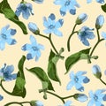Seamless pattern with blue oxypetalum flowers, a yellow background.