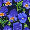 Floral vector pattern with realistic blue Pansies. Blue yellow Viola flowers with lettuce leaves, hand-drawn.