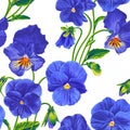 Seamless pattern with vector blue Pansies.