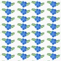 Seamless pattern of blue periwinkle flowers with green leaves isolated on white background