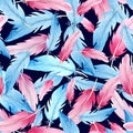 Seamless pattern of blue and pink bird feathers on a dark blue background. Handmade endless watercolor drawing for textiles, Royalty Free Stock Photo