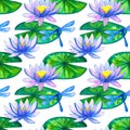 Seamless pattern. Blue pink water lilies on green leaves and dragonfly. Hand drawn watercolor illustration. On white background Royalty Free Stock Photo