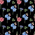 Seamless pattern, blue, pink wild flowers on black