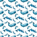 Seamless pattern with blue whale and cachalot on white background. Handmade illustration of blue whale and cachalot