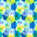 Seamless pattern of blue and yellow gerbera flowers, vivid summer daisy floral ornament, abstract gerber flower texture, wallpaper Royalty Free Stock Photo