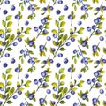 Seamless pattern with blueberries, leaves and branches.