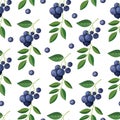 Seamless pattern with blueberries and sprigs. Vector Royalty Free Stock Photo