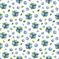 Seamless pattern with blueberries. Vector illustration.