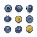 Seamless pattern with blueberry, isolated on white Royalty Free Stock Photo