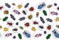 Seamless pattern, border with colorful bugs. Bright handdrawing of beetles Royalty Free Stock Photo