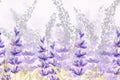 Seamless pattern border with sprigs of lavender flowers in the field on the meadow. Handmade watercolor illustration for the Royalty Free Stock Photo