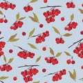 Seamless pattern with botanical elements. Various bunches of mountain ash with leaves. Ripe red berries.The concept of Royalty Free Stock Photo