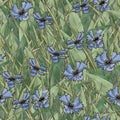 Seamless pattern. Botanical Illustration of cartoony wildflowers. Summer background, grass and cornflowers.