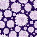 Seamless pattern with a botanical ornament of purple asters isolated on a white background for printing on textiles, home decor,