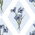 Seamless pattern. Botanical Rhombus frame Wild spring flowers. Blue cornflowers.Colored bright bouquet. Royalty Free Stock Photo