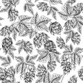 Seamless pattern botany hand drawn sketch hop isolated on white background. Line drawing. Herbal frame. Natural food