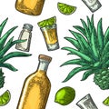 Seamless pattern of bottle, glass tequila, salt, cactus and lime