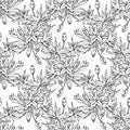 Seamless pattern of a bouquet of Oriental Lily. Hand-drawn black and white collection of festive decor. Vector