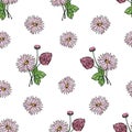 Seamless pattern of bouquets and flowers of daisy, chamomile, clover.