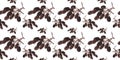 Seamless pattern with a branch of alder cones. Royalty Free Stock Photo