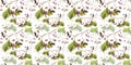 Seamless pattern of a branch of alder leaves, catkins and cones on a white background.