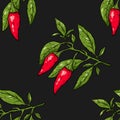 Seamless pattern of branch chili peppers