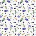 Seamless pattern of branch e berries of buckthorn and sloe