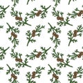 seamless pattern with branch of hinoki cypress