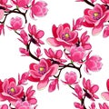 Seamless pattern branch magnolia flower red vector illustration Royalty Free Stock Photo