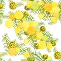 Seamless pattern Branch of mimosa acacia silvery whitened Vecto