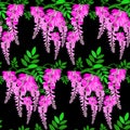 Seamless pattern with a branch of pink wisteria on a black isolated background.