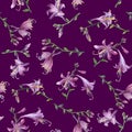 Seamless pattern with branch of purple hosta flower. Lilies. Hosta ventricosa minor, asparagaceae family. Royalty Free Stock Photo