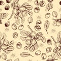 Seamless Pattern with branch Shea tree with fruits, nuts, leaves and Shea butter. Detailed hand-drawn sketches, vector