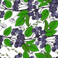 seamless pattern with branches of chokeberry. ornament of bunches of aronia.