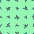 Seamless pattern of branches of Christmas holly with berries on a green background. Royalty Free Stock Photo