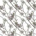 Seamless pattern of the branches and flowers of magnolia Royalty Free Stock Photo