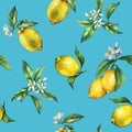 The seamless pattern of the branches of fresh citrus fruit lemons with green leaves and flowers.