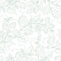 Seamless pattern of branches of hops on white background.