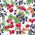Seamless pattern with branches leaves and berries of raspberries and blackberries, hand-drawn in watercolor