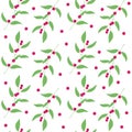 Seamless pattern branches and leaves of camu camu berries . Floral background. Vector Royalty Free Stock Photo