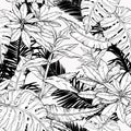 Seamless pattern with branches and leaves, jungle thickets. Black and white