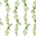 Seamless pattern with branches of thyme