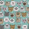 Seamless pattern. Breeds. Siamese, British, Siberian, Persian, Scottish Fold, Maine Coon, Bengal, Sphynx