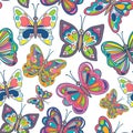 Seamless pattern with bright butterflies on white background. Vector Illustration.