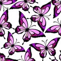 seamless pattern of bright colored butterflies on a white background, texture Royalty Free Stock Photo