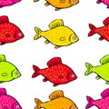 Seamless pattern bright colored fish on a white background Royalty Free Stock Photo