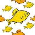 Seamless pattern bright colored fish on a white background Royalty Free Stock Photo